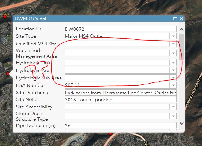 Edit window in Map Viewer of same feature. Some fields are empty.